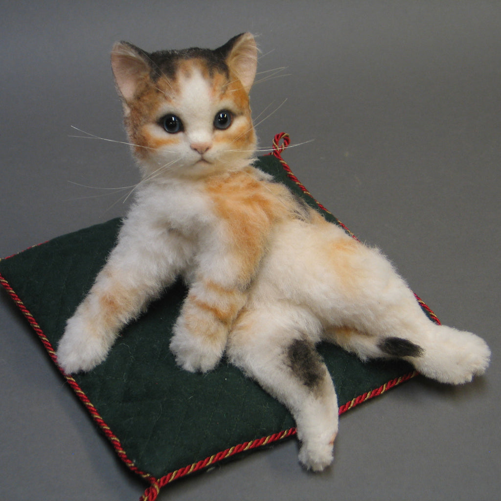 Kitten - Calico Cuddles Low # 5 LAST ONE