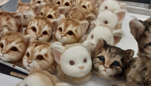 Production Photos from 2024