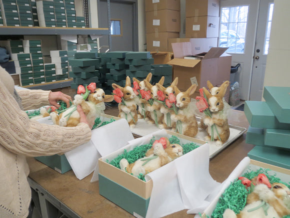 Production Photos from 2015