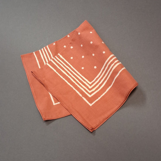 Benjamin Bunny Handkerchief