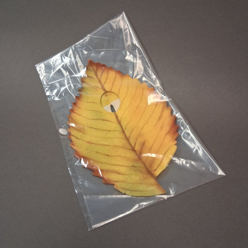 Elm Leaf Dancer costume