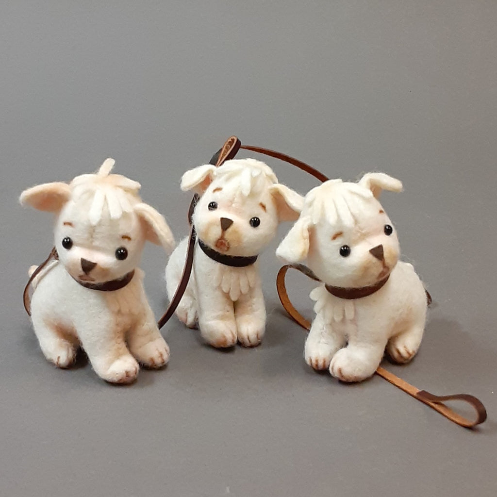 Fido-Georgie's Puppy