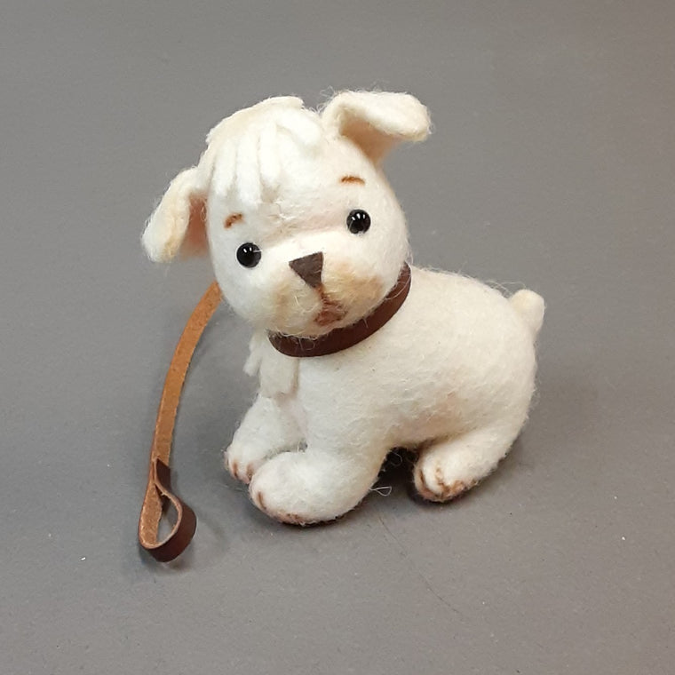 Fido-Georgie's Puppy