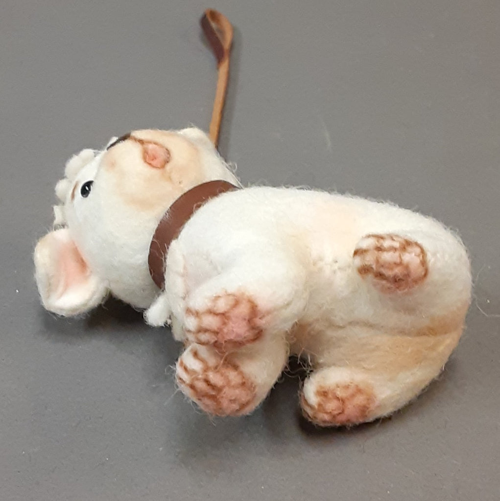 Fido-Georgie's Puppy