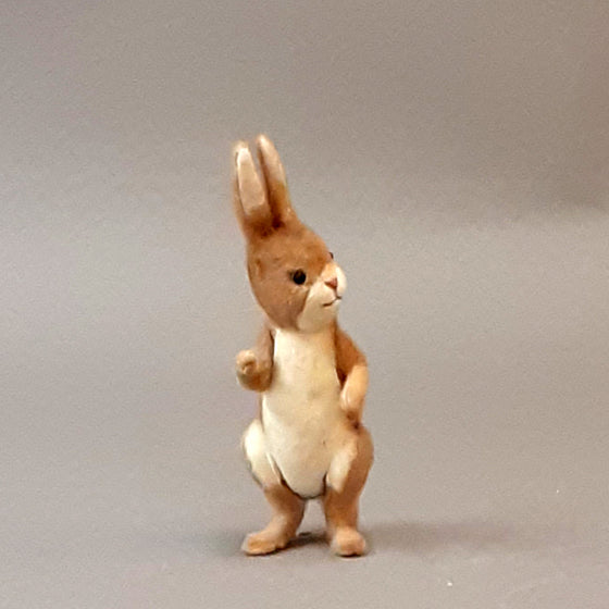 "Rabbit"-Prototype