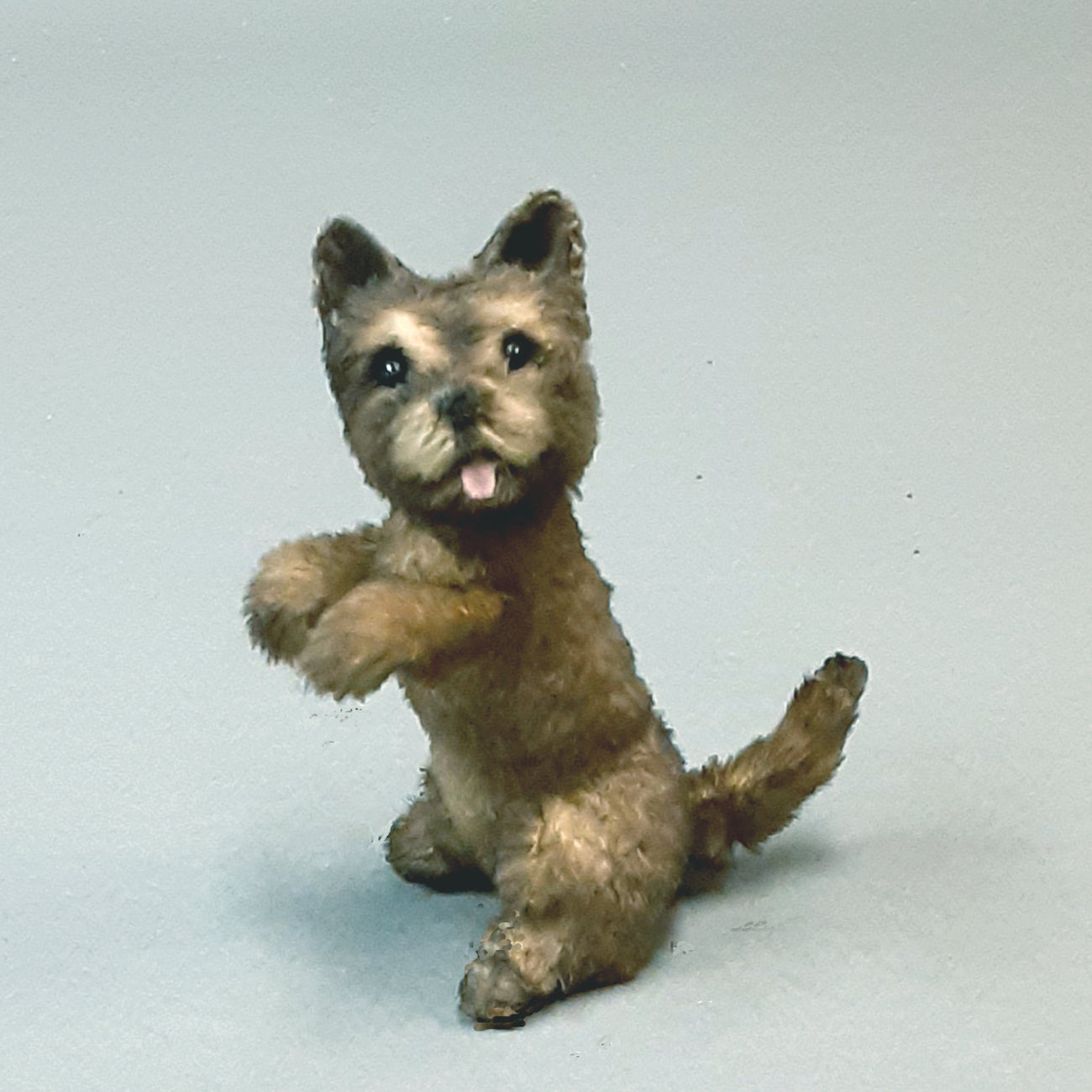 Totosqcolor_1300x.jpg?v=1726603112