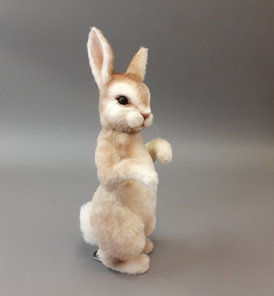 Peter Cottontail-Prototype
