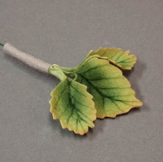 Rose Leaves