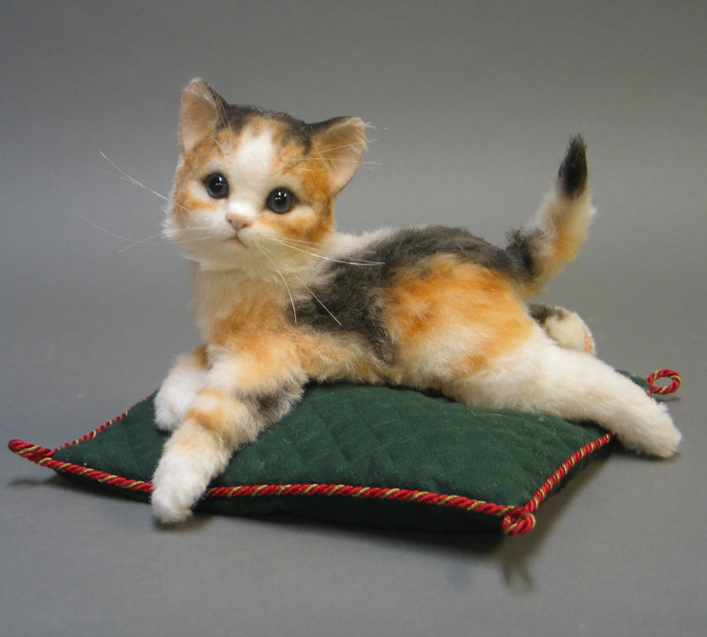 Kitten - Calico Cuddles
