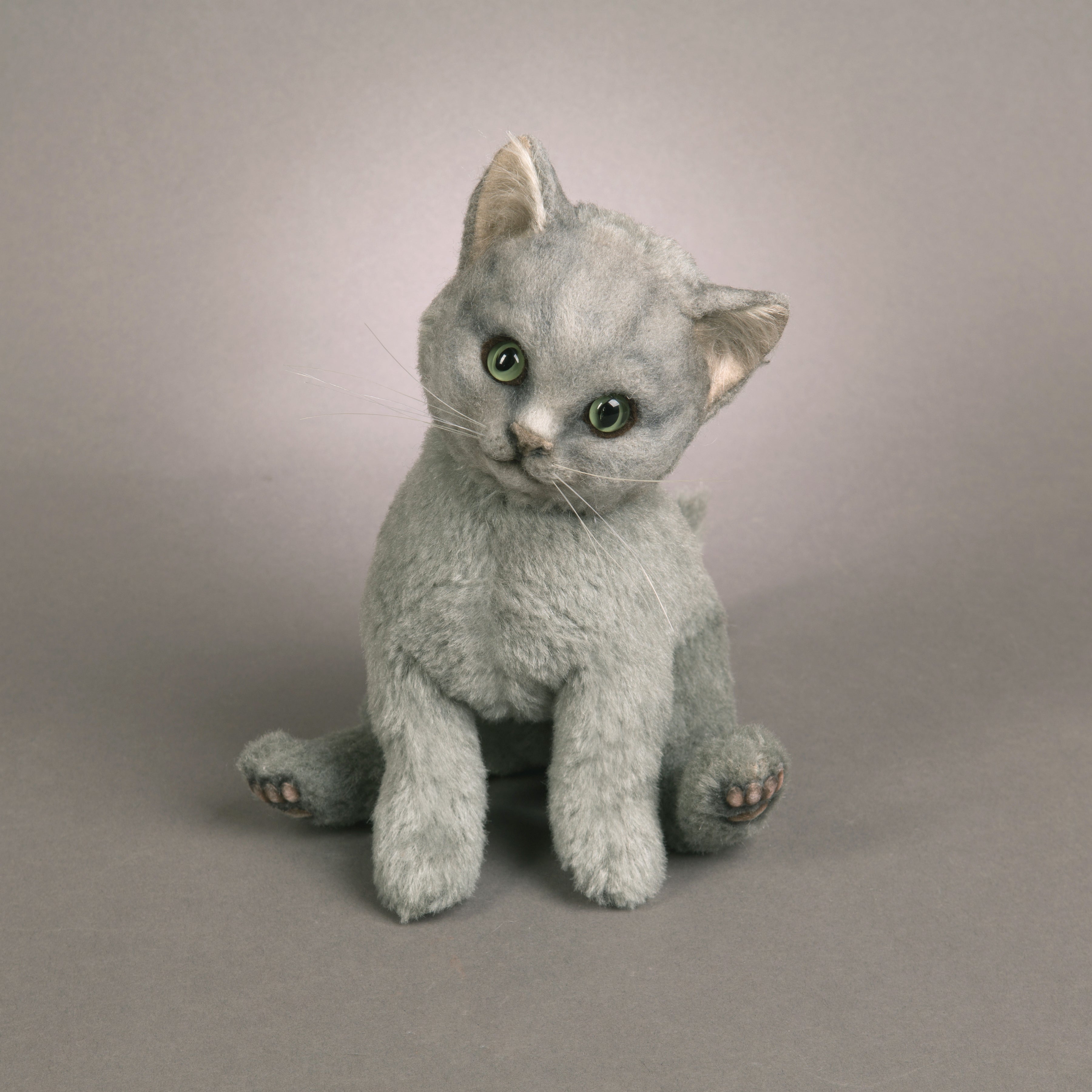 Cats & Dogs - R. John Wright