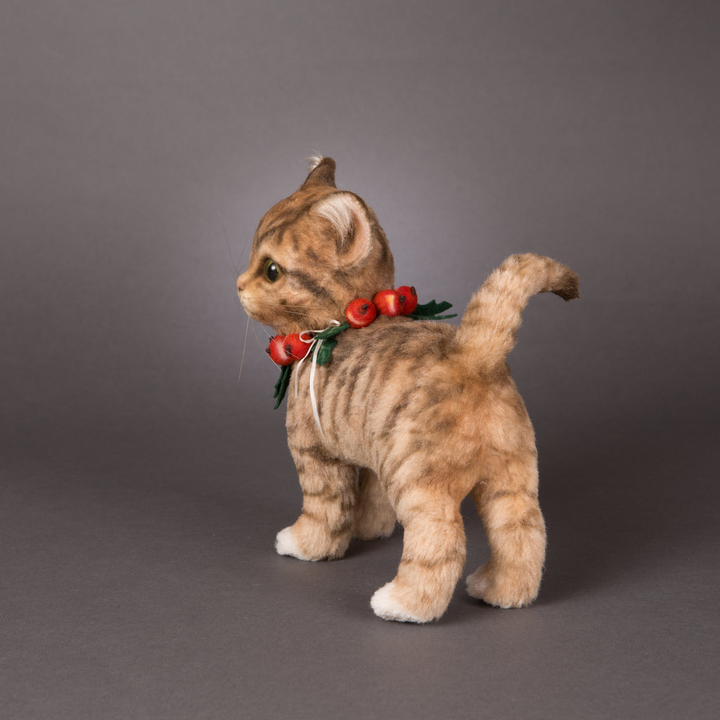 Nutmeg - Christmas Kitten