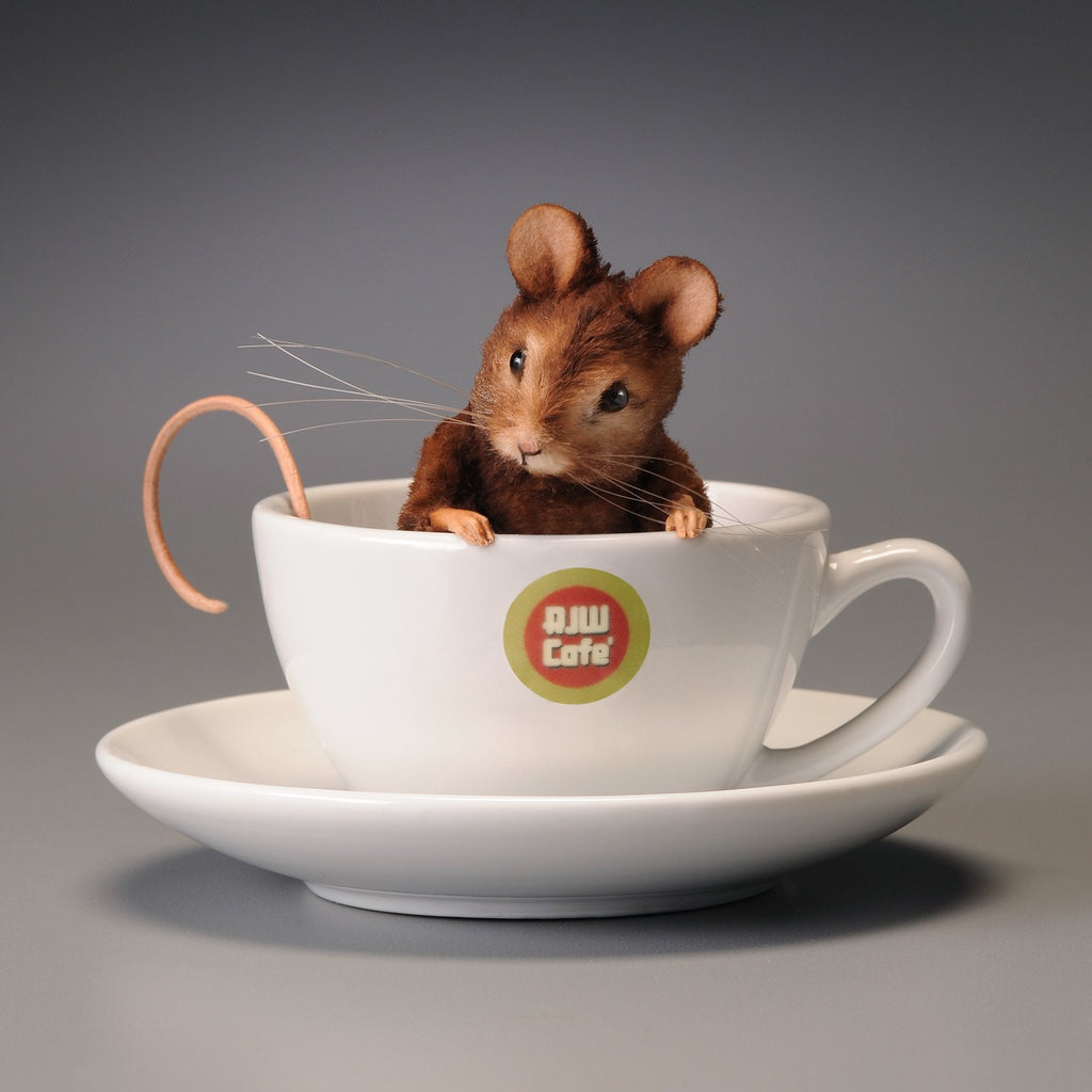 Coffee Bean plush mouse doll inside coffee cup