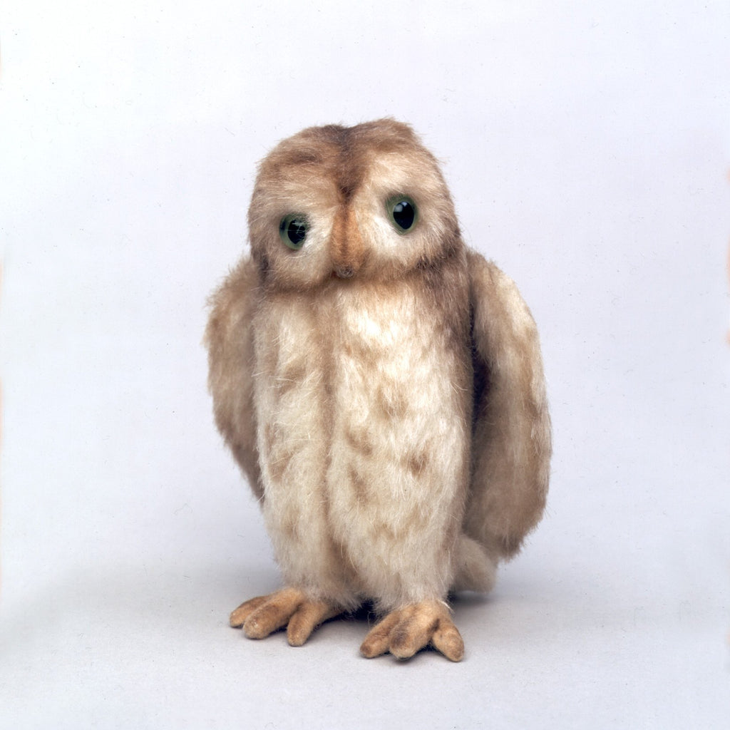 Pocket Owl