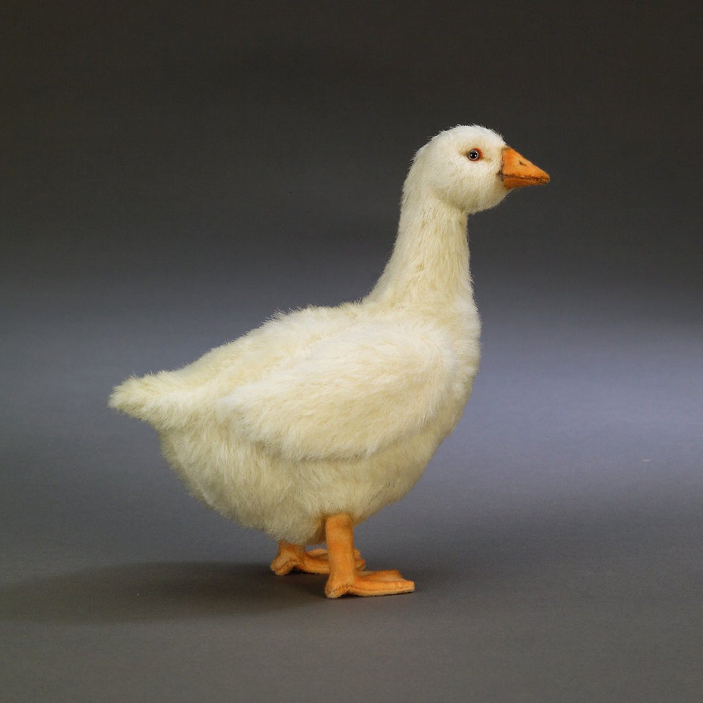 Silly Goose
